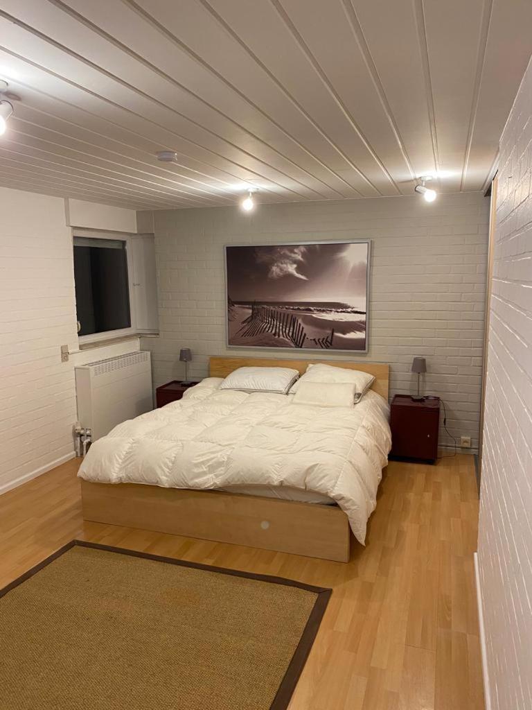 Villa Noordzeedreef Ref 317 Oostduinkerke Zewnętrze zdjęcie